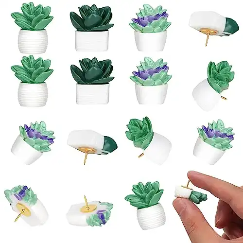 Cute Succulent Plants Decorative Push Pins